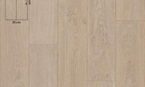 12802 Elegant Oak