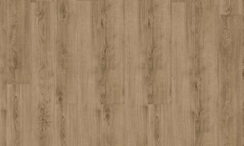 2520 Light Classic Oak