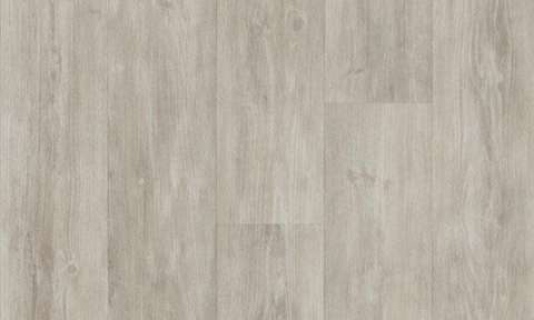 2894 3024 Grey Pine