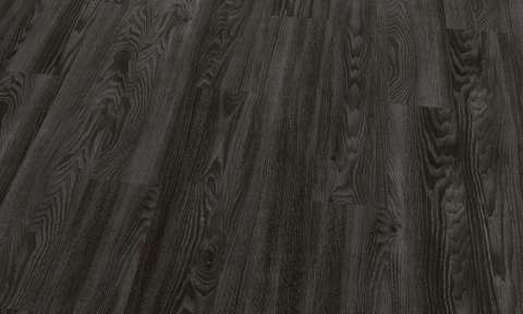 4035 Black Elm