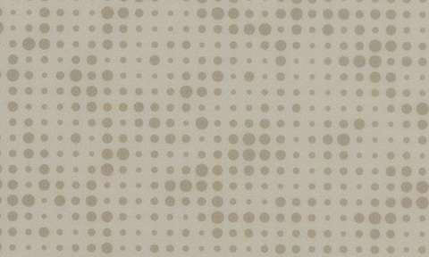 433211 423211 Grey Beige