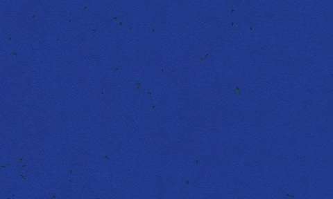 50240 Yves Klein Blue