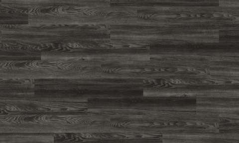 6183 Black Elm