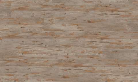 6231 Beige Weathered Spruce