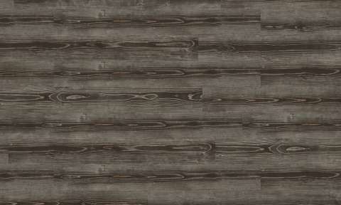 6233 Graphite Pine