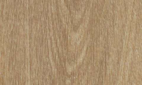 9084 Natural Giant Oak