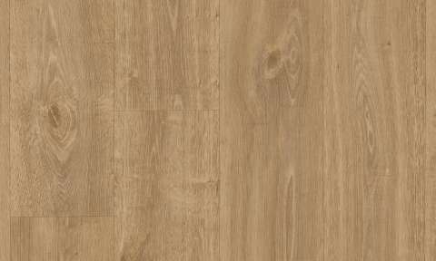 9823 English Oak