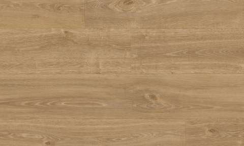 9823 English Oak