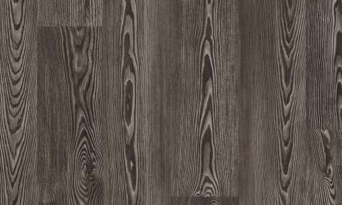 9837 Charcoal Pine