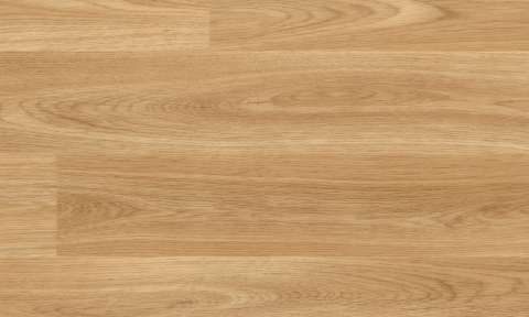 American Oak 3385