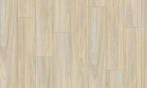 baltic maple 28230