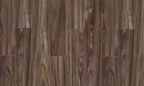 baltic maple 28884