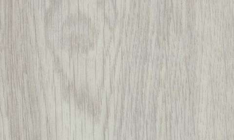 cc60286 White Giant Oak