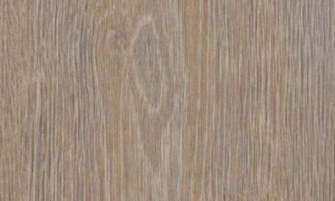 cc60293 Steamed Oak