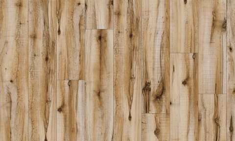 cotton wood 20839