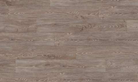 Couloured Acacia EPL090