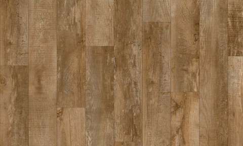 country oak 24842