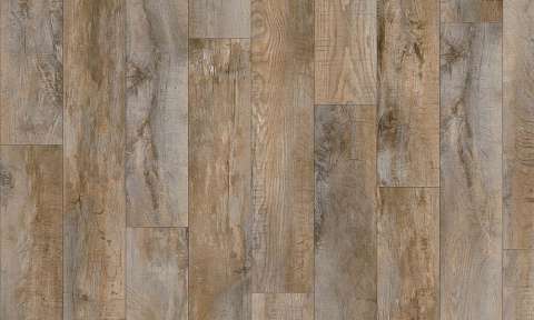 country oak 24958