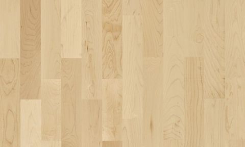 Hard Maple Activity Floor