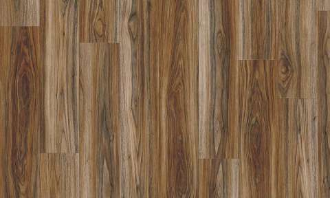 persian walnut 20843