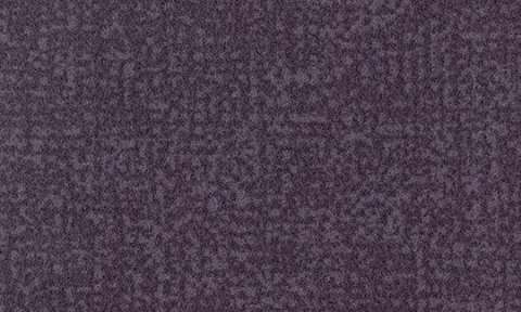 s246016 t546016 Grape